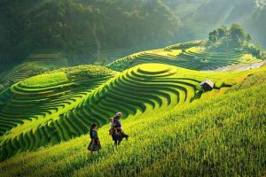 Sapa Ura Travel