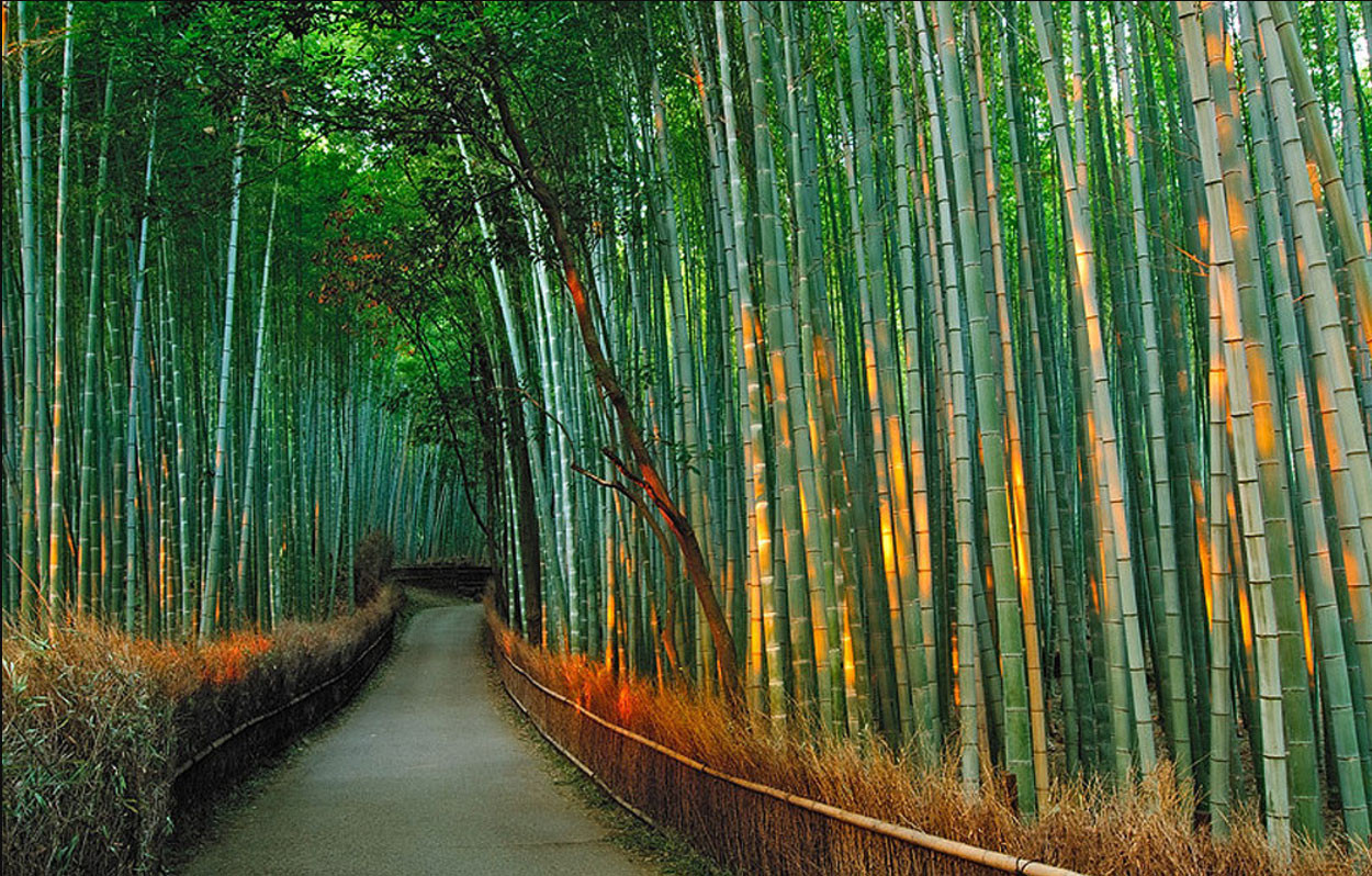 uratravel