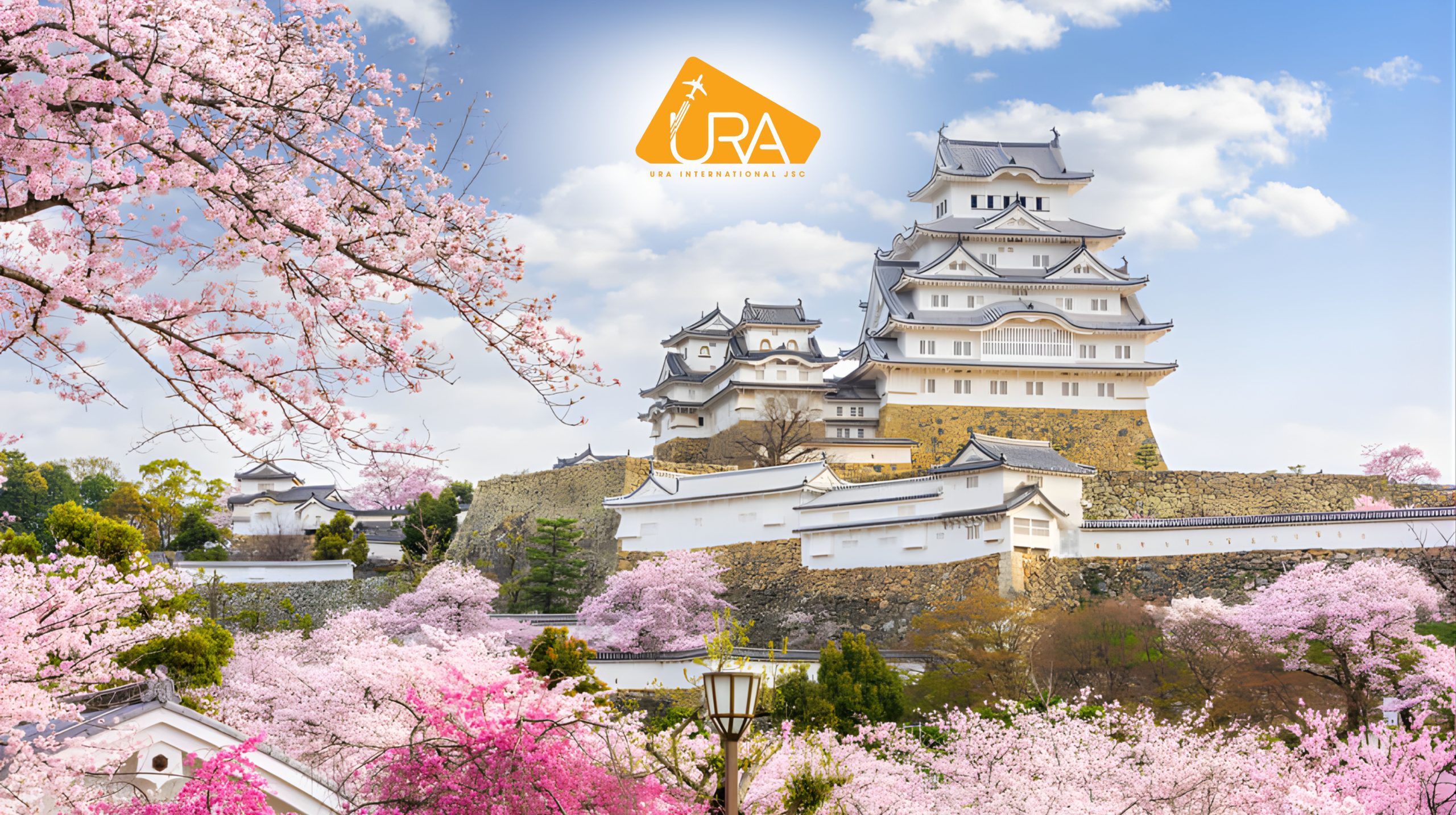 dia-diem-ngam-hoa-anh-dao-nhat-ban-lau-dai-himeji-hyogo
